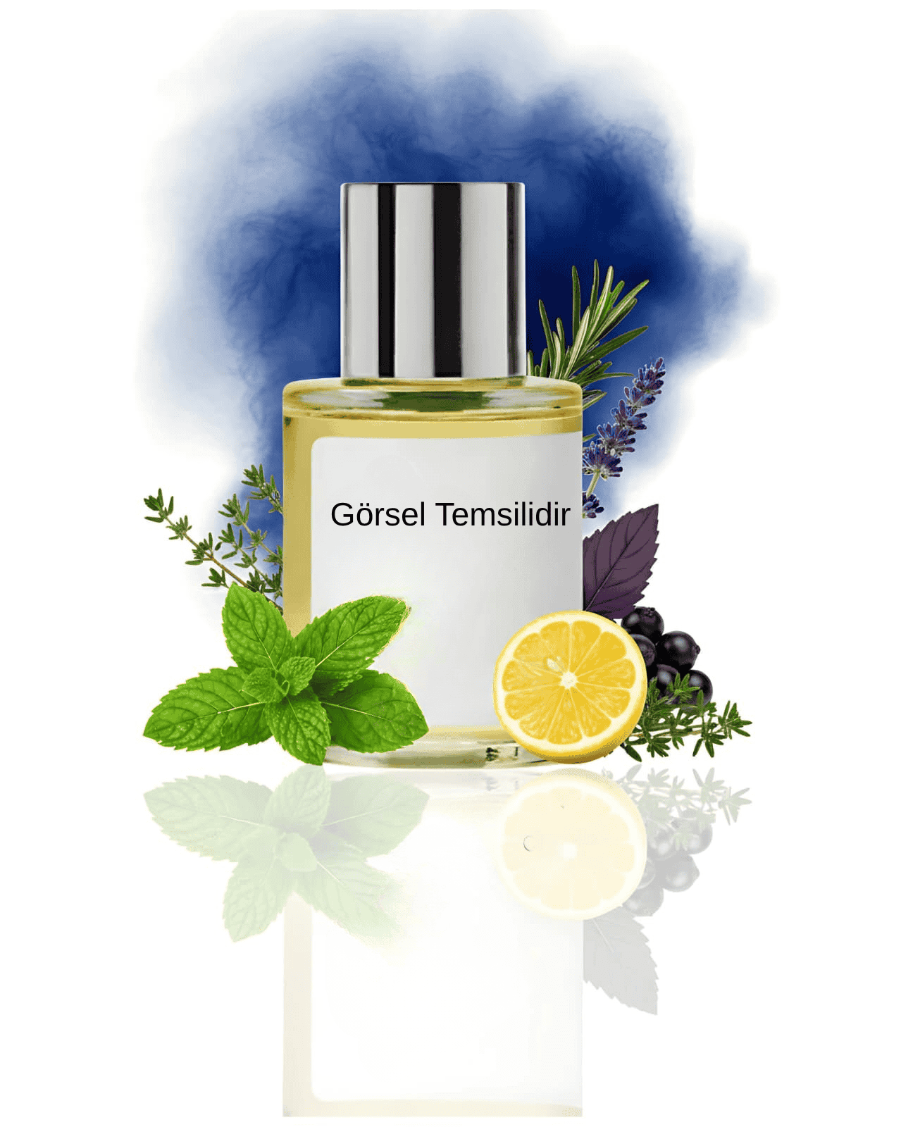 THE DOROS TORENA21 017 için limon, nane, siyah frenk üzümü ve aromatik bitkilerle hazırlanan modern koku sunumu; ferah dokulu temsil görseli.