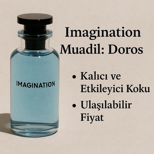 Imagination muadili